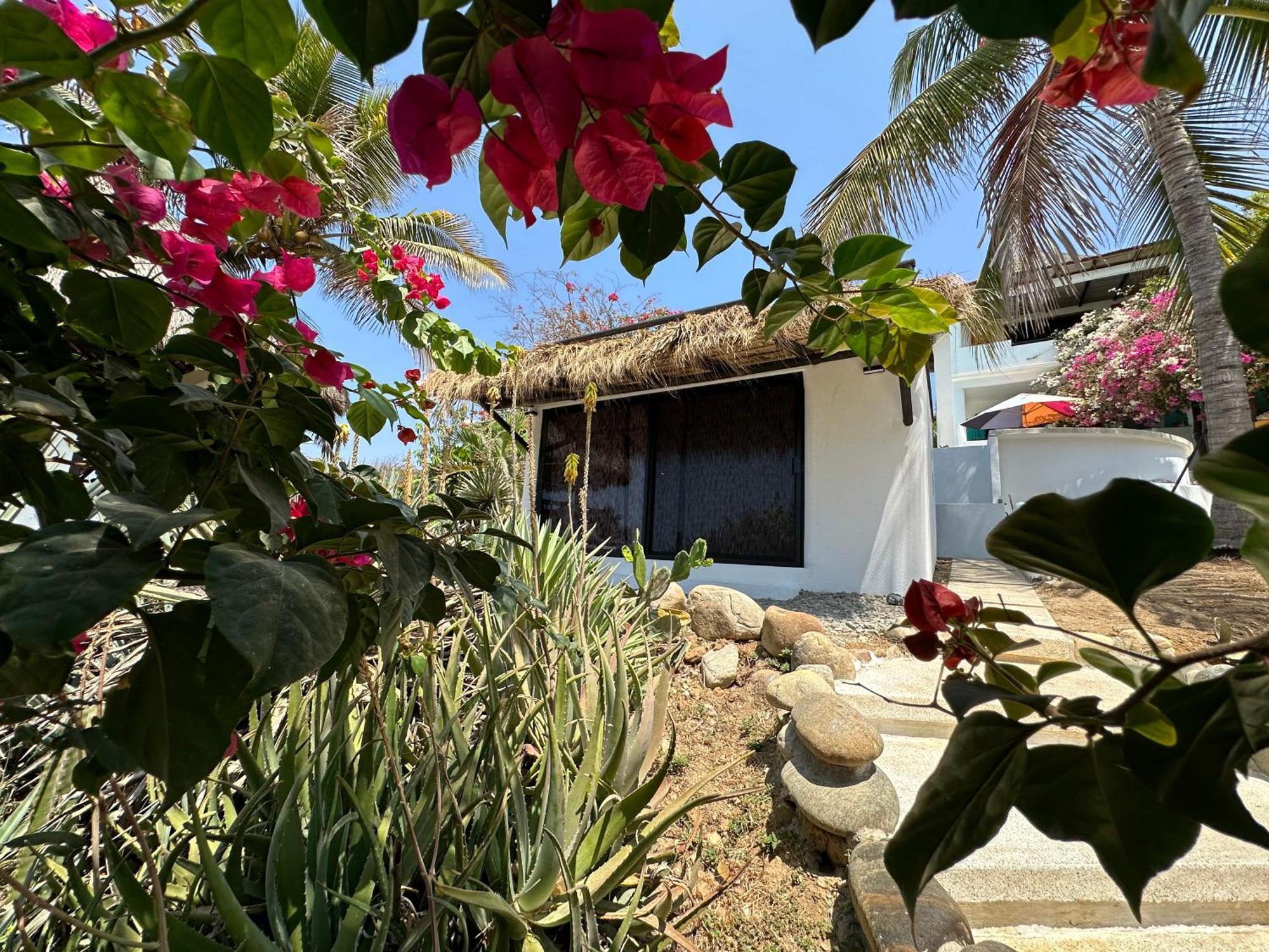 Beachfront Paradise Boutique Hotel Agua Blanca Bagian luar foto