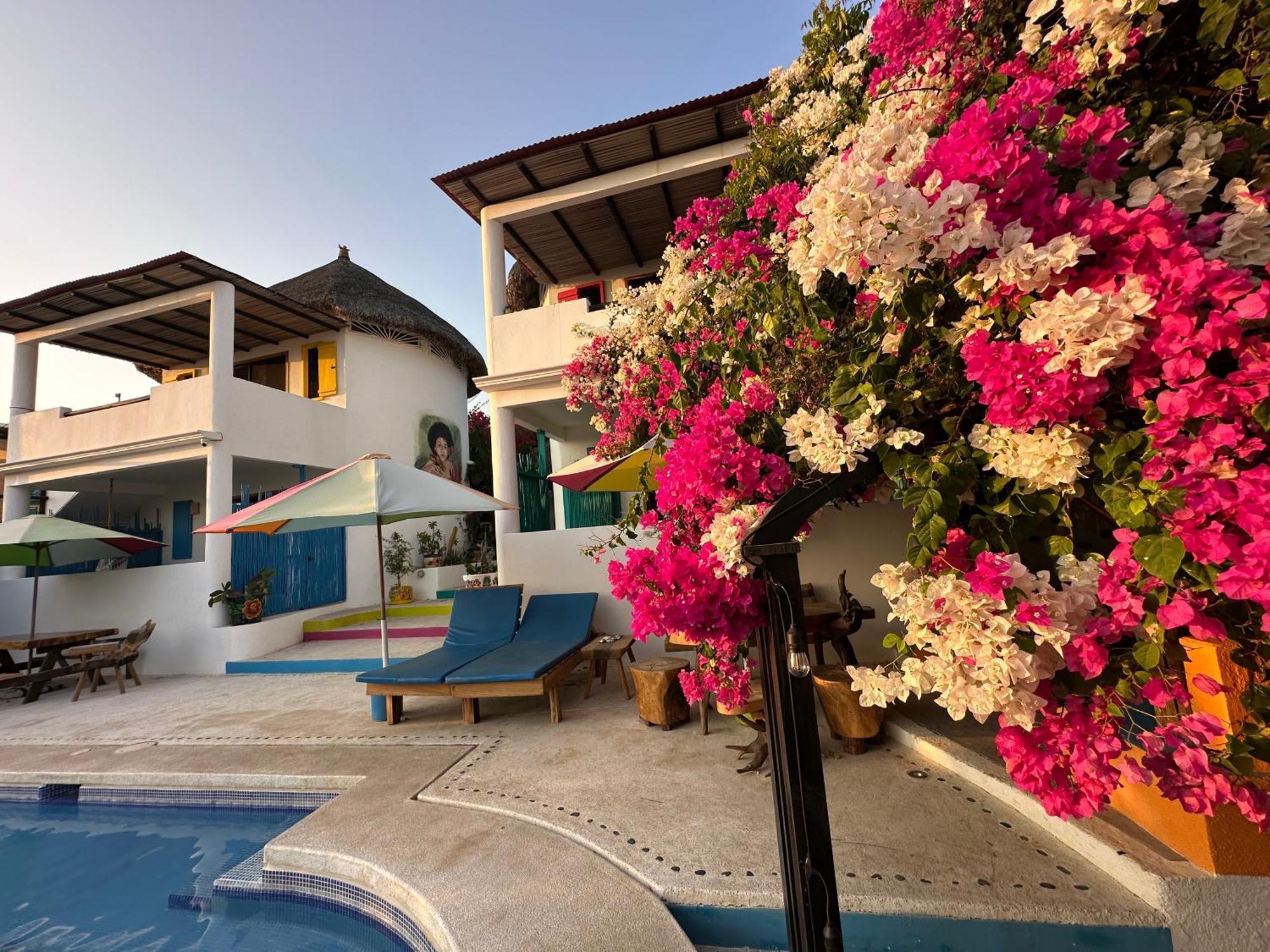 Beachfront Paradise Boutique Hotel Agua Blanca Bagian luar foto