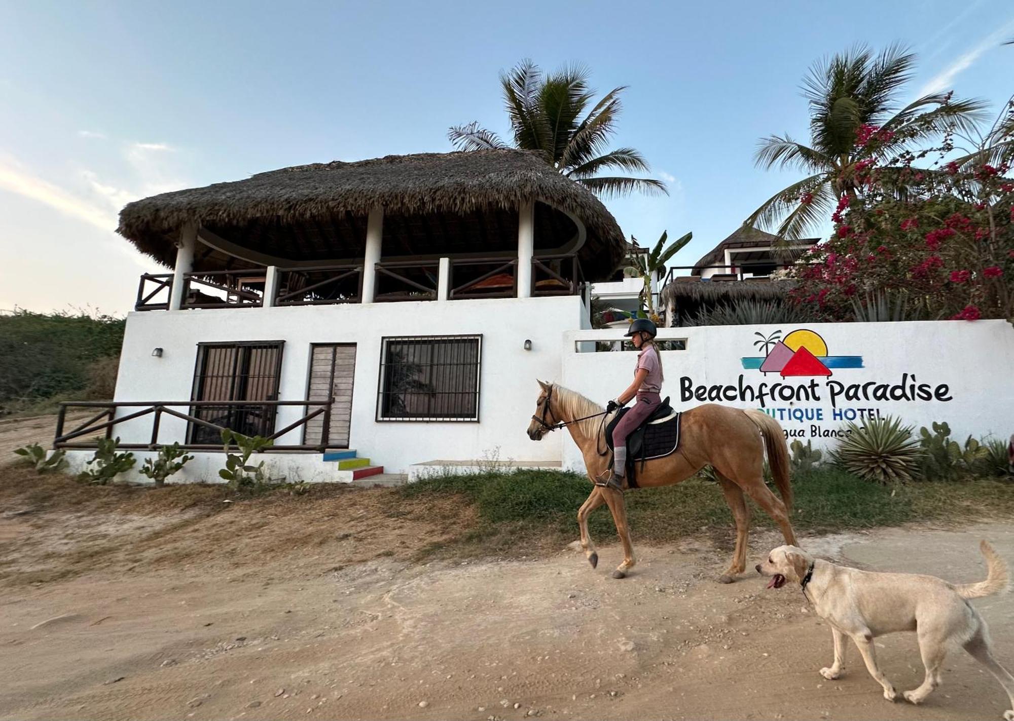 Beachfront Paradise Boutique Hotel Agua Blanca Bagian luar foto